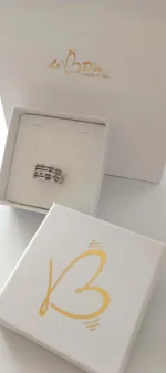 Anello Genesi - immagine 2